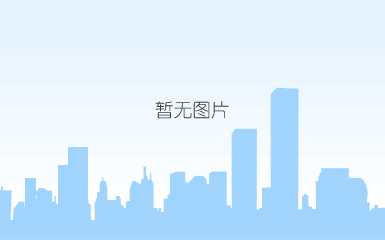 dxd-300/420高精度多功能枕式包装机